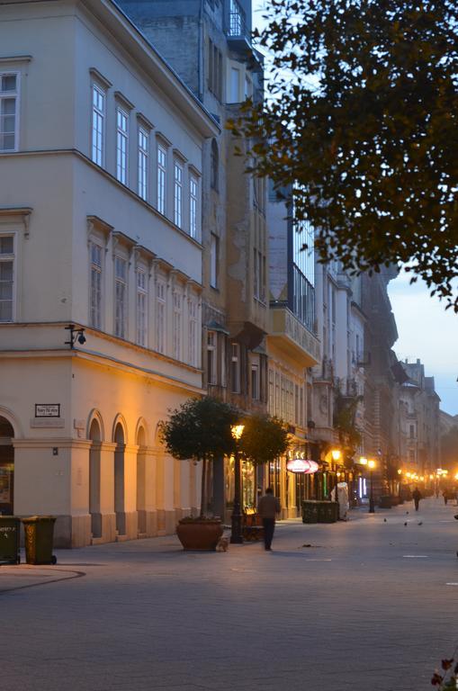 Vaci Street Downtown Apartments Budapest Bagian luar foto